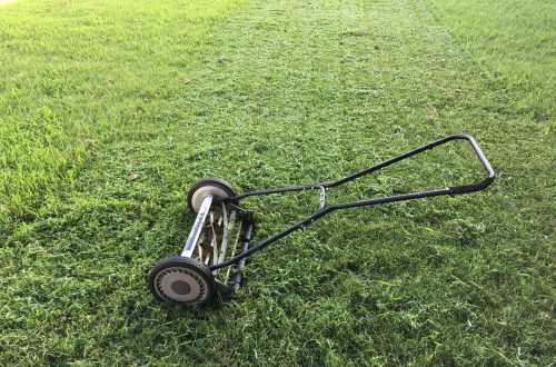 fűnyíró bérlése